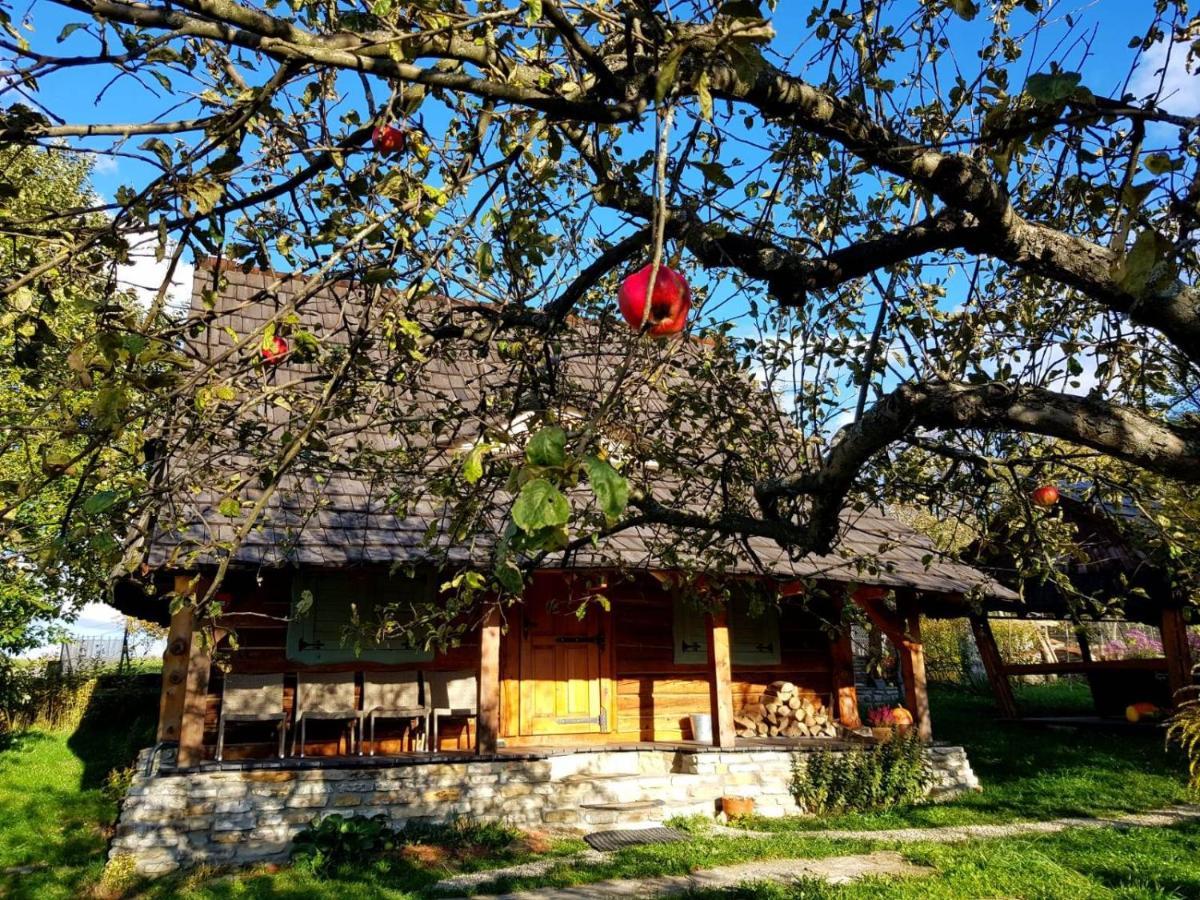 Jabloniowy Sad Kalwaria Paclawska Villa Kültér fotó
